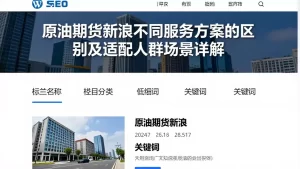 原油期货新浪不同服务方案的区别及适配人群场景详解